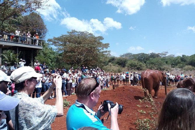 Elephants,Giraffe Center, Blixen Museum $ Bomas of Kenya - Preparing for the Tour