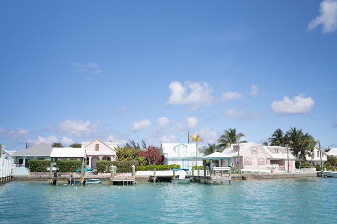 Eleuthera Day Trip With Swimming Pigs and Turtles From Nassau - Snorkeling in Green Turtle Cay