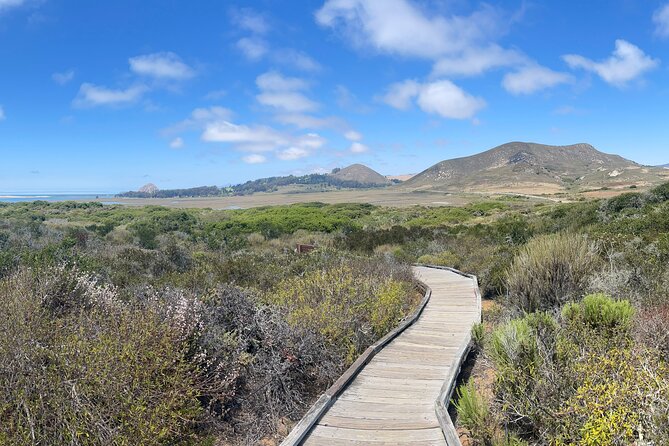 Elfin Forest Nature Tour With Local Sweet and Savory Tasting - Accessibility Features