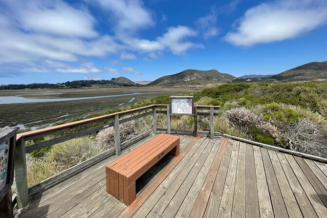 Elfin Forest Nature Tour With Local Sweet and Savory Tasting - Highlights From Guest Reviews