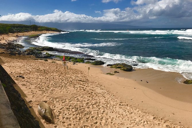 Elite Private Tour - Customizable Itinerary Options