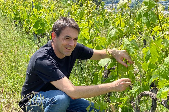 Elite Provence Wine Tour - Itinerary and Activities