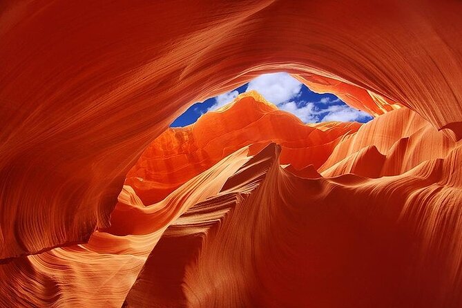 Elite VIP Private Tour - Horseshoe Bend & Lower Antelope Canyon - Tour Participation