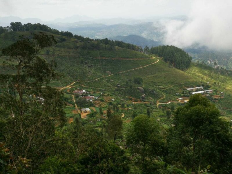 Ella- 3-Days Trekking in Tea Plantation Forest & Waterfalls - Taste Local Tea