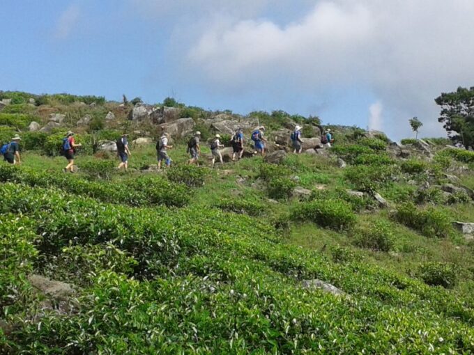 Ella- 3-Days Trekking in Tea Plantation Forest & Waterfalls - Important Considerations