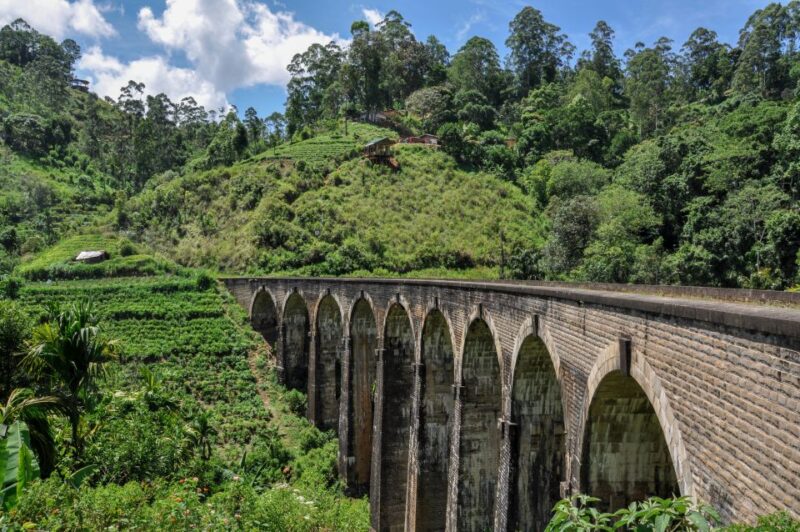 Ella: 9 Arch Bridge, Ella Rock, & Little Adam'S Peak Tour - Itinerary Highlights