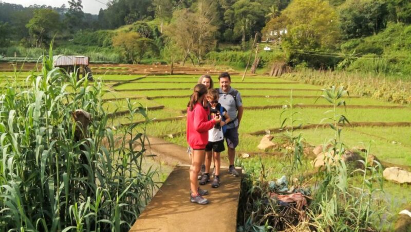 Ella: 9 Arch Bridge, Ella Rock, & Little Adam'S Peak Tour - Experience Description