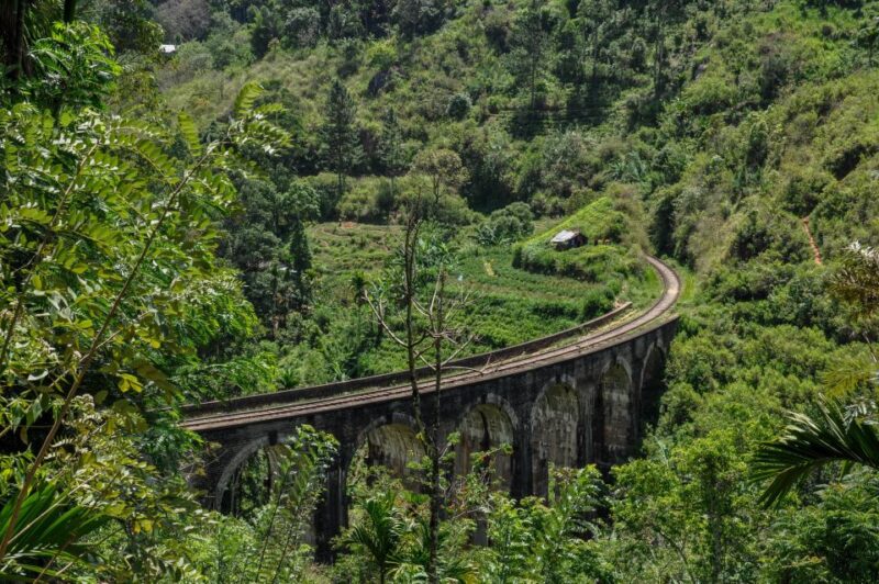 Ella: 9 Arch Bridge, Ella Rock, & Little Adam'S Peak Tour - Customer Feedback