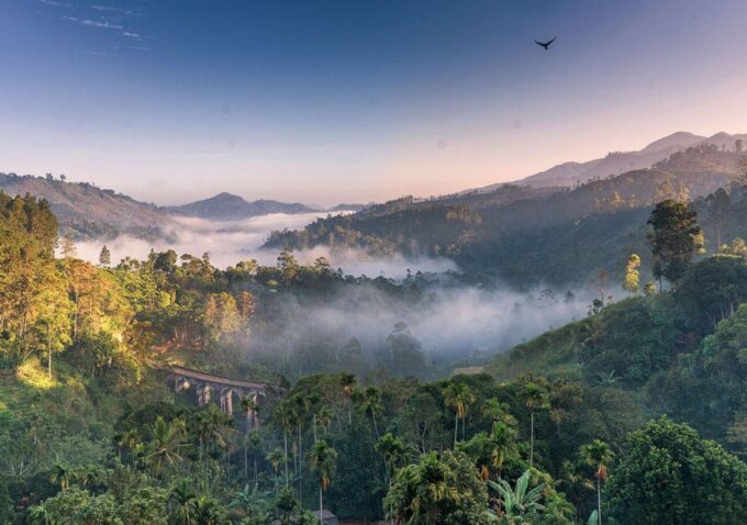 Ella: 9 Arch Bridge, Ella Rock, & Little Adam'S Peak Tour - Tour Details