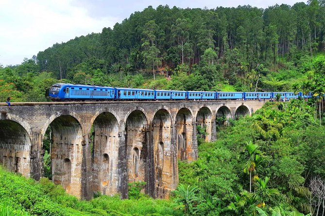 Ella Adventure Sri Lanka Holiday 07 Nights 08 Days - Traveler Feedback and Experiences
