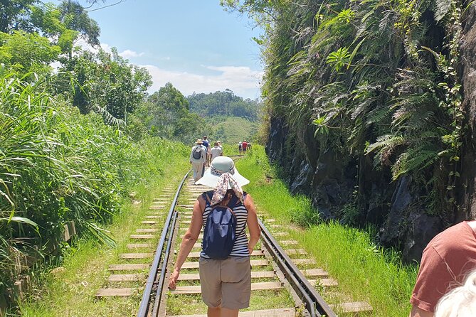 Ella and Yala National Park Tour From Colombo - Pickup Information