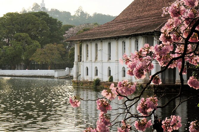 Ella and Yala National Park Tour From Colombo - Accommodation