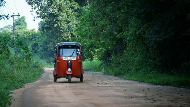 Ella: City Tour with Lunch, Nine Arch Bridge & Waterfall - Who Would Love This Tour
