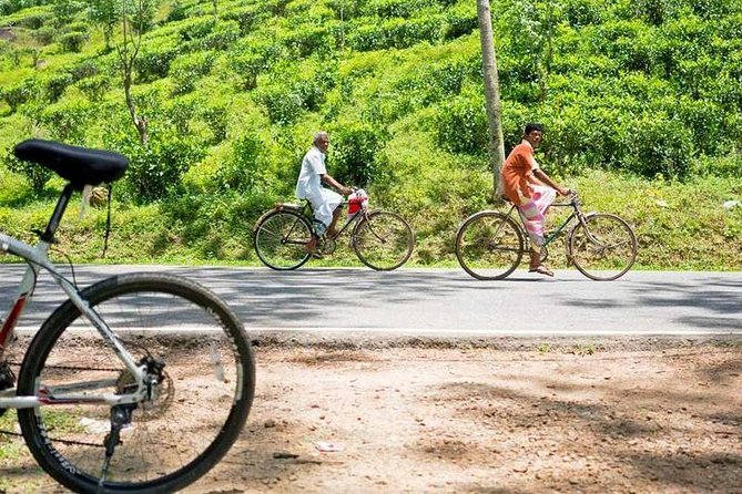 Ella Cycling Tour - Accessibility and Restrictions