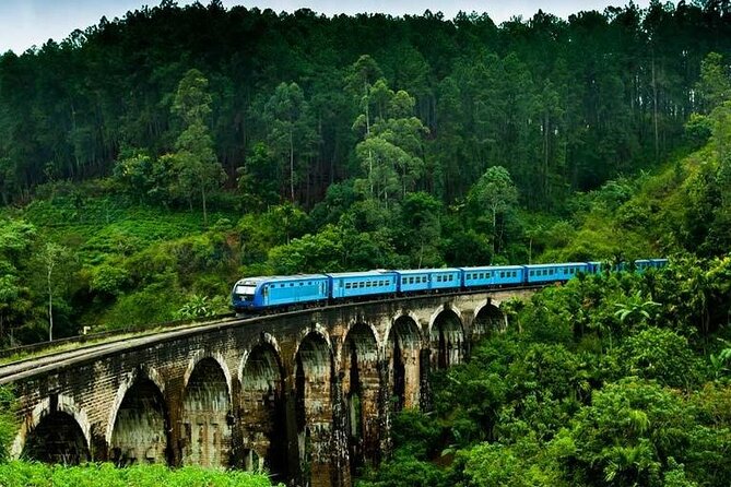 Ella Day Tour From Kandy - Accessibility and Requirements
