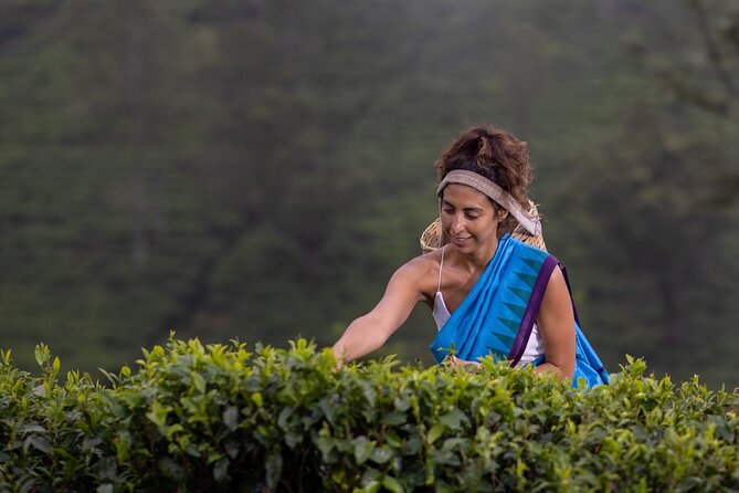 Ella Day Tour From Kandy - Operator Information