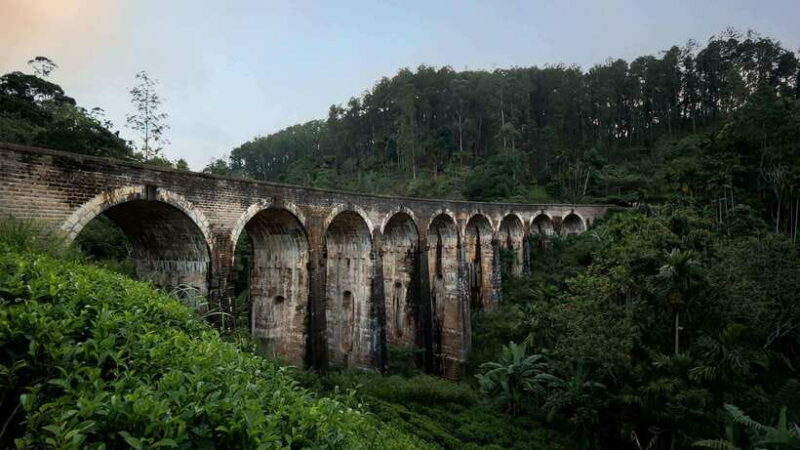Ella Day Tour: with Tea Factory Visit from Colombo/Bentota - The Itinerary in Detail