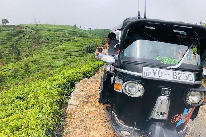 Ella Day Trip From Mirissa, Weligama, Galle, Hikkaduwa - Customer Reviews