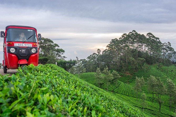 Ella Day Trip From Mirissa, Weligama, Galle, Hikkaduwa - Booking Information