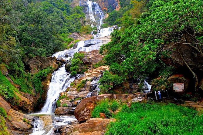 Ella Day Trip With Train Ride & Tea Factory - All Inclusive - Tour Highlights