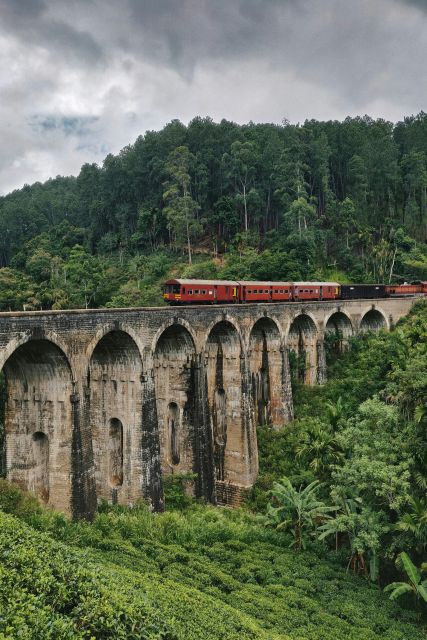 Ella: Discover Little Adams Peak, Ella Rock & 9 Arch Bridge - Key Points