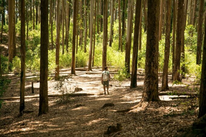 Ella: Discover Little Adams Peak, Ella Rock & 9 Arch Bridge - Customer Ratings and Reviews