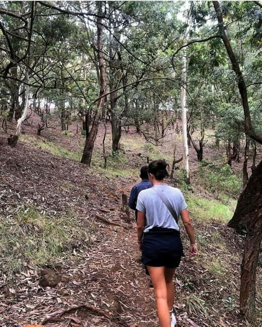 Ella: Ella Rock, 9 Arch, Little Adams Peak, & Waterfall Tour - The Zipline and Adventure Options