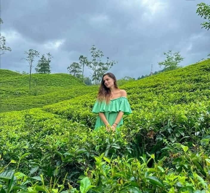 Ella: Ella Rock, 9 Arch, Little Adams Peak, & Waterfall Tour - What’s Included and What’s Not