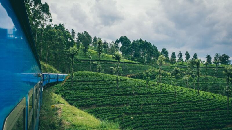 Ella: First-Class Scenic Train Ticket To/From Kandy - Key Points