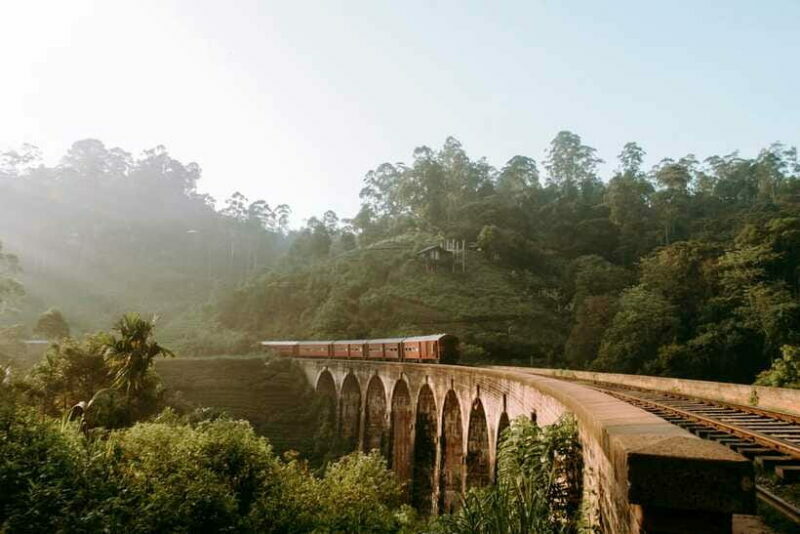 Ella: First Class Scenic Train Ticket To/From Nanuoya - The Experience in Practice