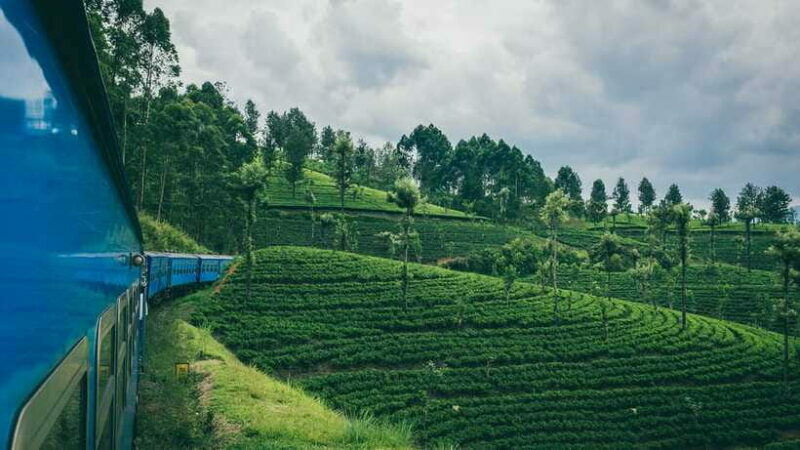 Ella: First Class Scenic Train Ticket To/From Nanuoya - Who Should Book This Experience?