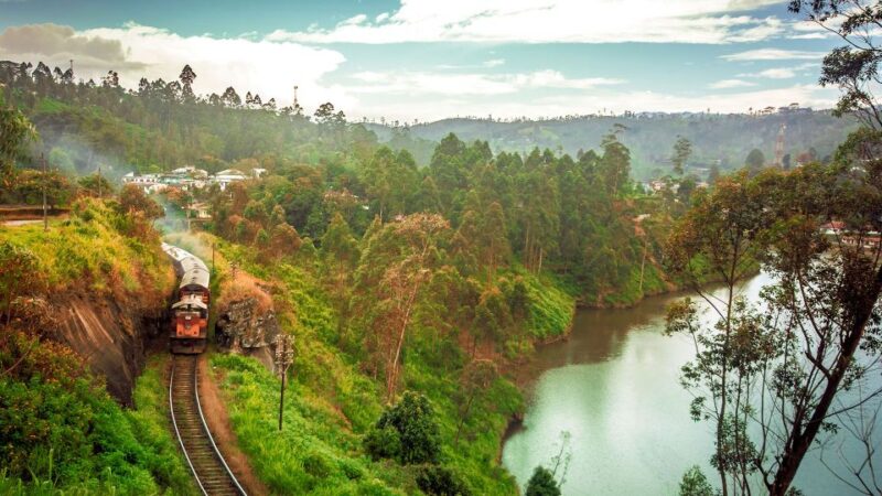 Ella: First-Class Scenic Train Ticket To/From Nanuoya - Unique Exploration Opportunities