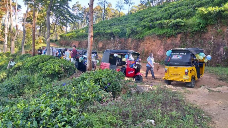 Ella-Haputae Tea Plantation Safari By Tuk Tuk & Liptons Seat - Key Points