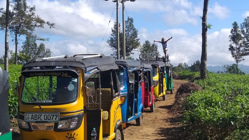 Ella-Haputae Tea Plantation Safari By Tuk Tuk & Liptons Seat - Experience Highlights