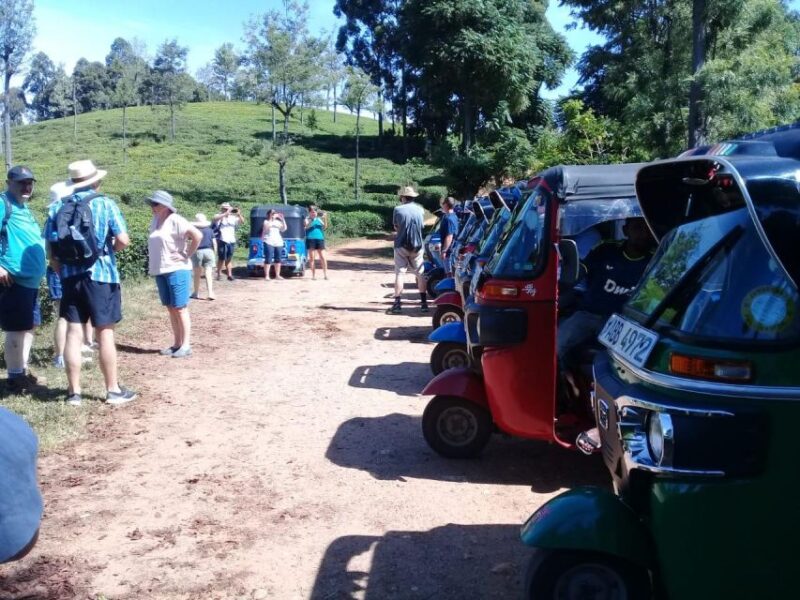 Ella-Haputae Tea Plantation Safari By Tuk Tuk & Liptons Seat - Scenic Aspects