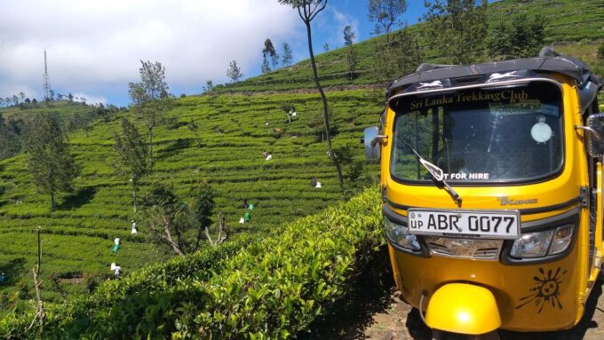 Ella-Haputae Tea Plantation Safari By Tuk Tuk & Liptons Seat - Recap