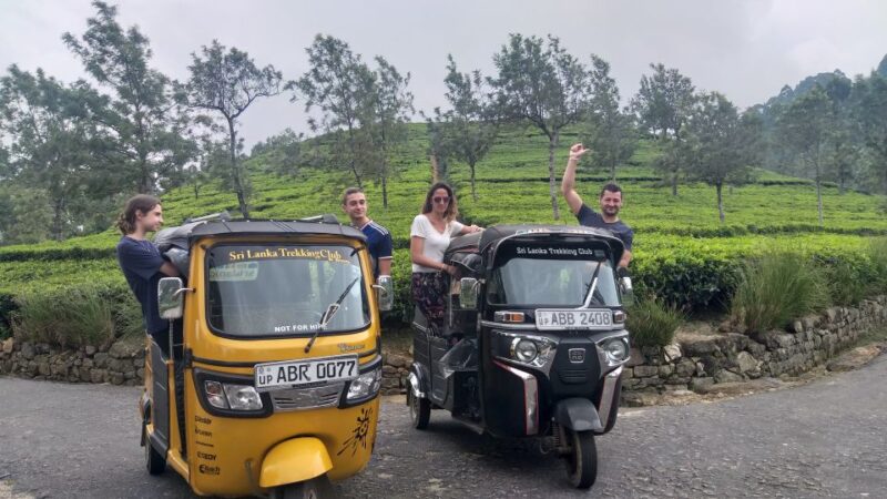 Ella Haputae Tea Plantation Safari By TukTuk & Cooking Class - Key Points