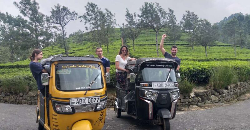 Ella Haputae Tea Plantation Safari By TukTuk & Cooking Class - Experience Highlights