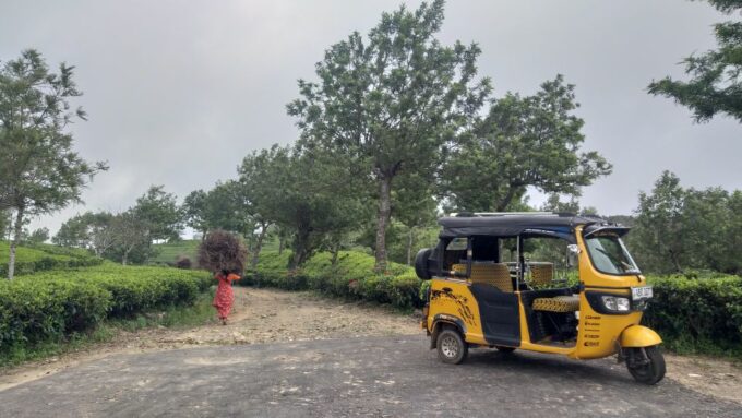 Ella Haputae Tea Plantation Safari By TukTuk & Cooking Class - Frequently Asked Questions