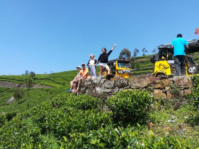 Ella Haputae Tea Plantation Safari By TukTuk & Cooking Class - Recap