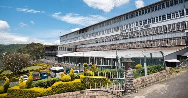 Ella: Liptons Seat Tour With Dambetanna Tea Factory Visit - Inclusions and Amenities