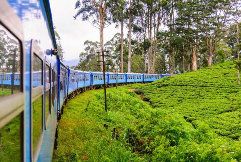 Ella: Makulella to Ella Trek,Pekoe Trail Adventure -Stage 15 - Itinerary and Experience