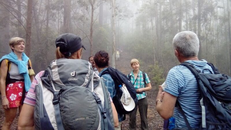 Ella: Pekoe Trail Stage 15 Trekking From Makulela to Ella - Tour Highlights