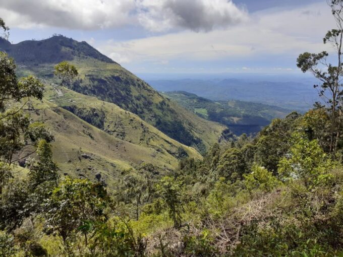 Ella: Pekoe Trail Stage 15 Trekking From Makulela to Ella - Availability and Booking