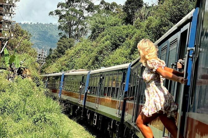Ella Private Day Tour with Train Ride and Visit to Nine Arch - The Itinerary in Detail