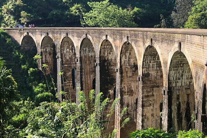 Ella Private Day Tour with Train Ride and Visit to Nine Arch - Who Will Love This Tour?