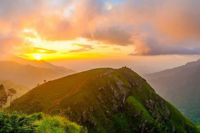 Ella Rock Hiking Tours ( Sunrise-Tour ,Good Morning Tour,Sunny Afternoon Tour ) - Guide and Support