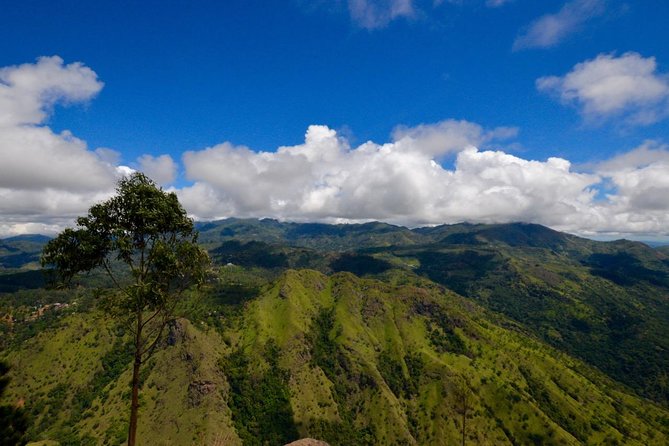 Ella Rock Hiking Tours ( Sunrise-Tour ,Good Morning Tour,Sunny Afternoon Tour ) - Accessibility and Inclusions