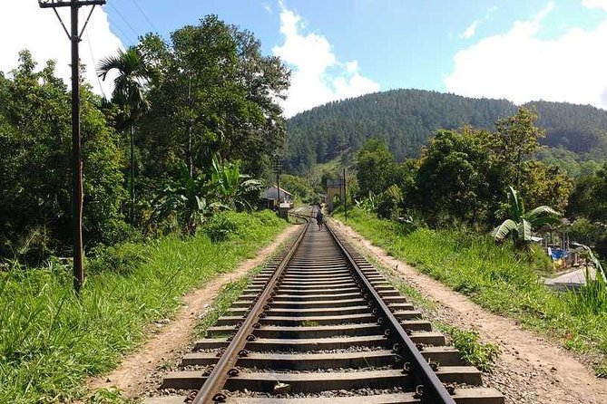 Ella Rock Hiking Tours ( Sunrise-Tour ,Good Morning Tour,Sunny Afternoon Tour ) - Tour Pricing and Policies
