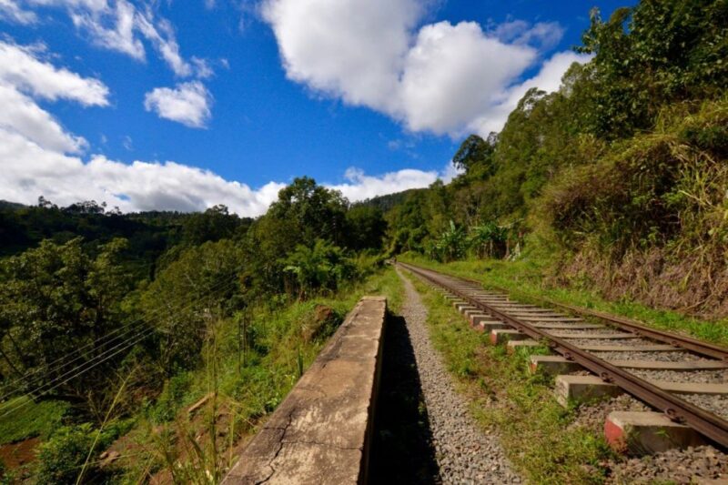 Ella Rock Hiking Tours - Highlights of the Experience